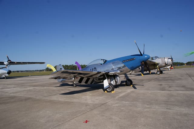  - Warbird