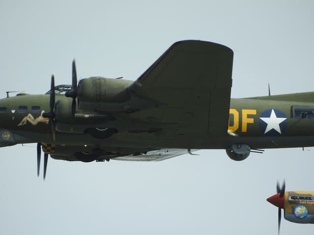  - Warbird