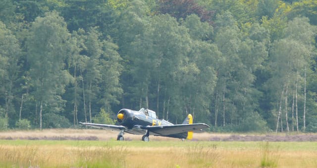 N13FY - Warbird