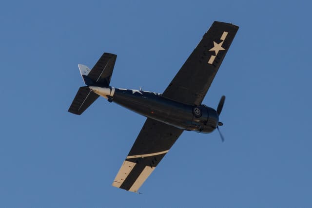  - Warbird