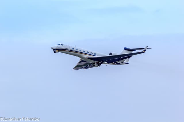 N818LF - Business jet