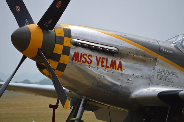 N251RJ - Warbird