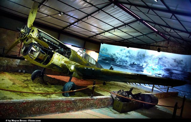  - Warbird