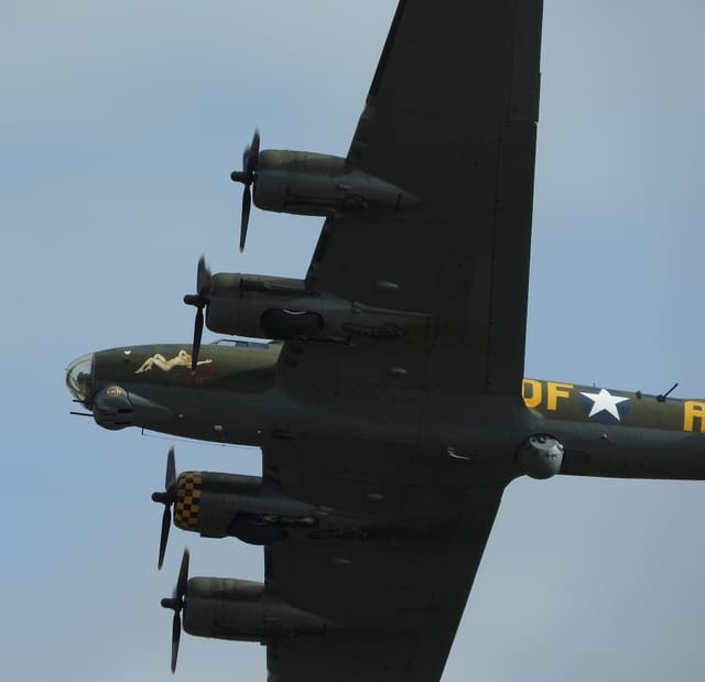  - Warbird