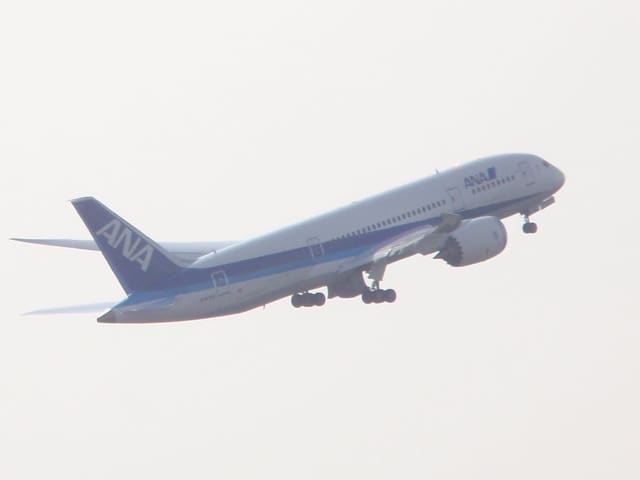 N787EX - Twin-engine aircraft