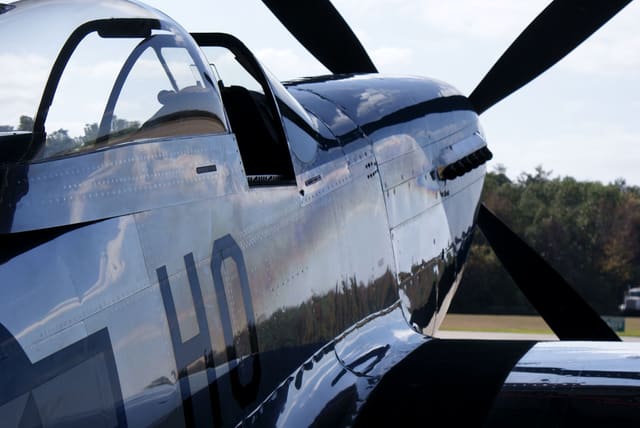  - Warbird