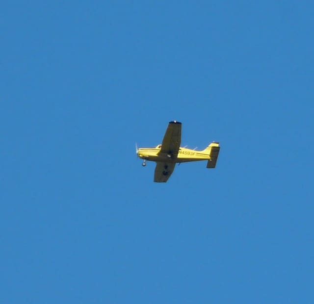 N4593F - Single-engine aircraft