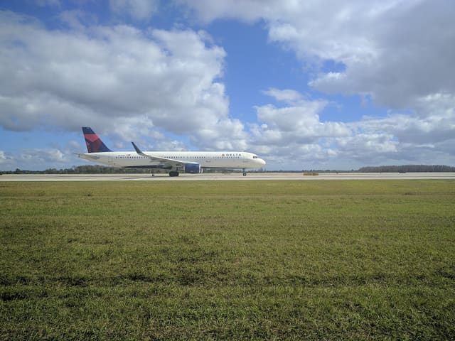 N313DN - Airbus