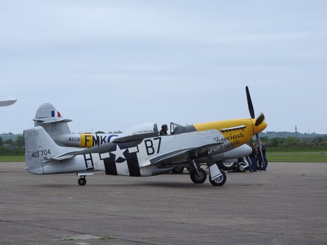  - Warbird