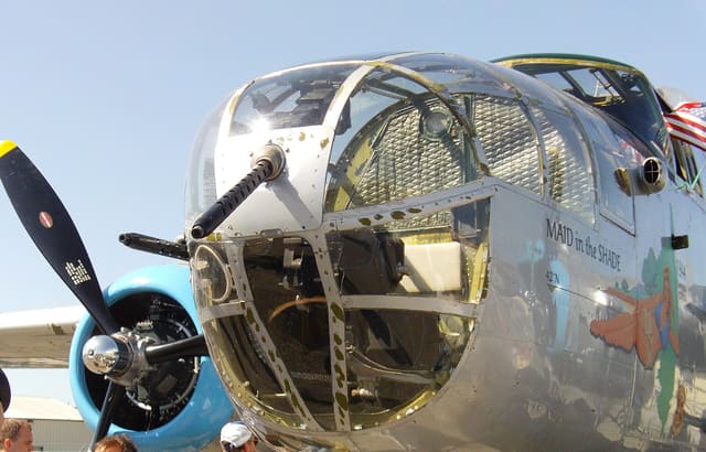  - Warbird