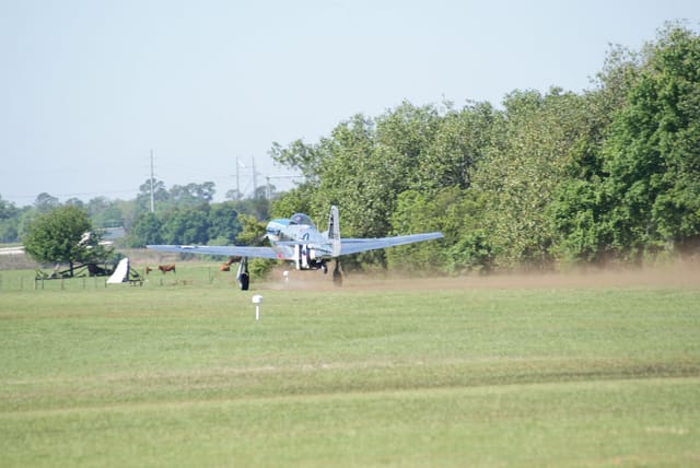  - Warbird