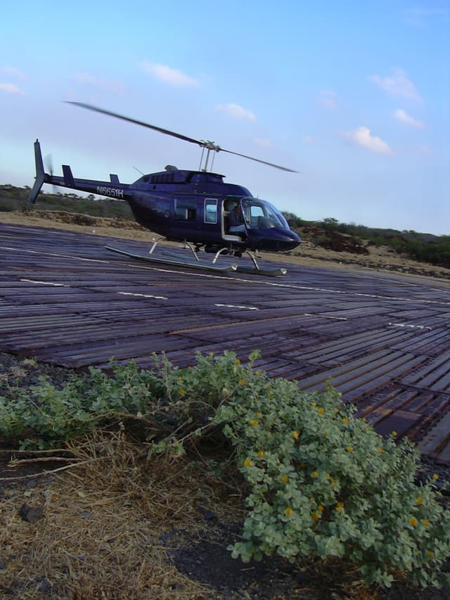 N6651H - Helicopter