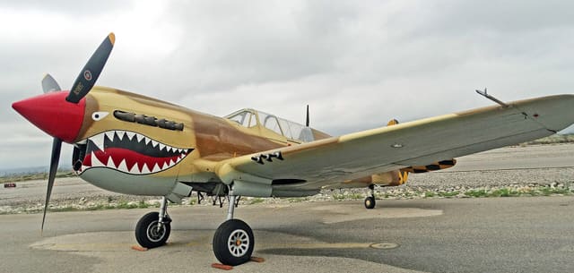  - Warbird