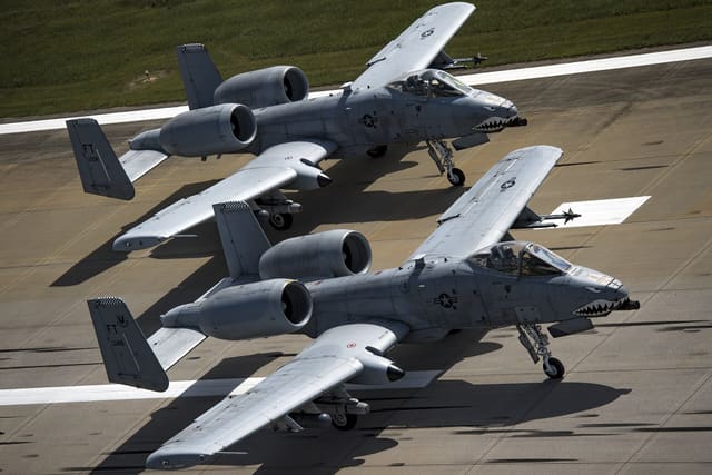 - Warbird