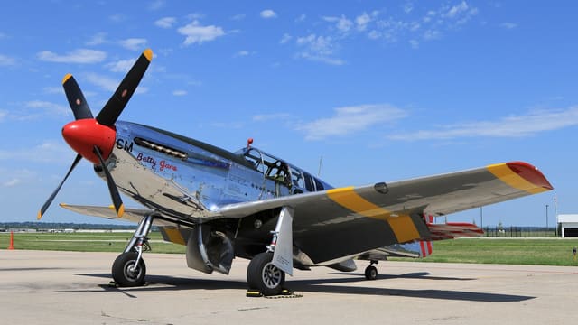 N251MX - Warbird