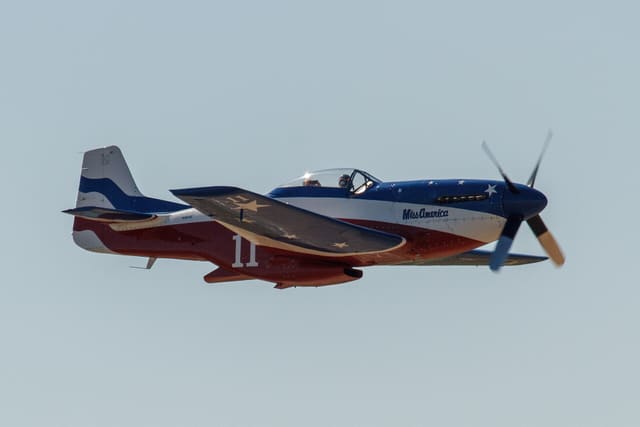  - Warbird