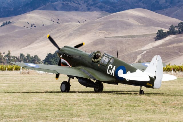  - Warbird