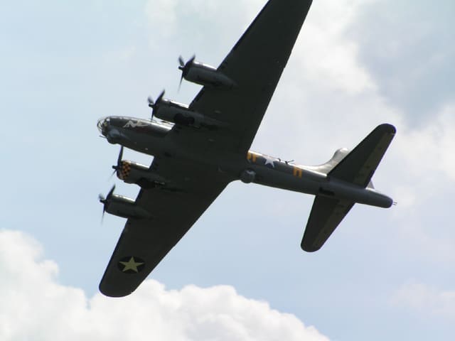  - Warbird