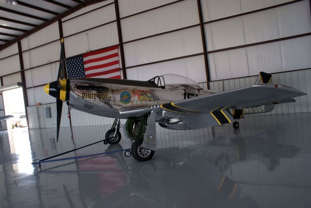  - Warbird