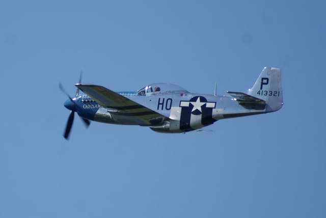  - Warbird