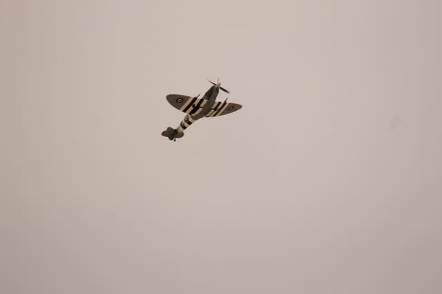 N959RT - Warbird