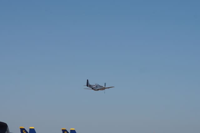 N20TF - Warbird