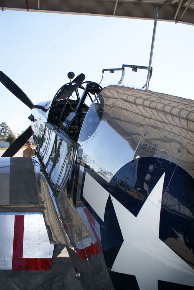 N251MX - Warbird