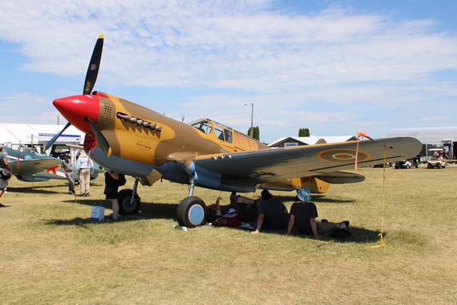  - Warbird