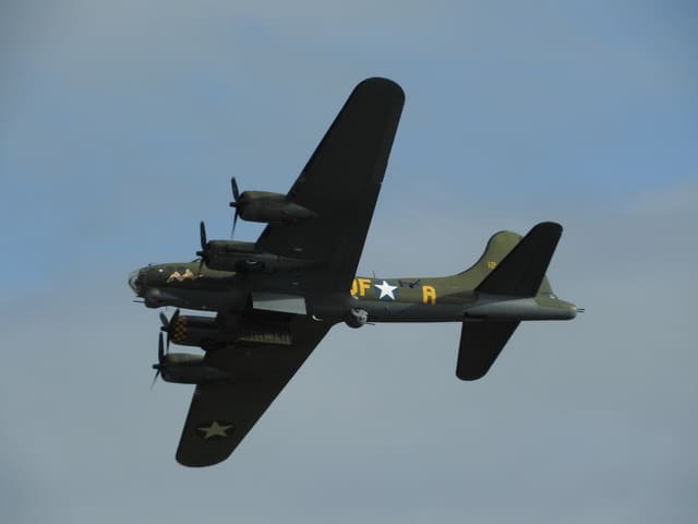 - Warbird