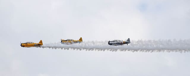 N3286 - Warbird