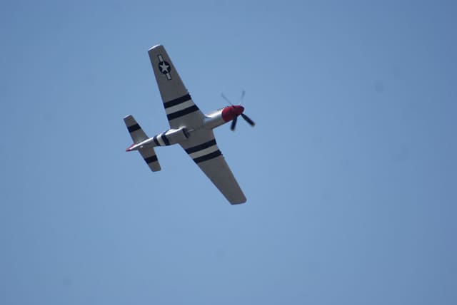 - Warbird