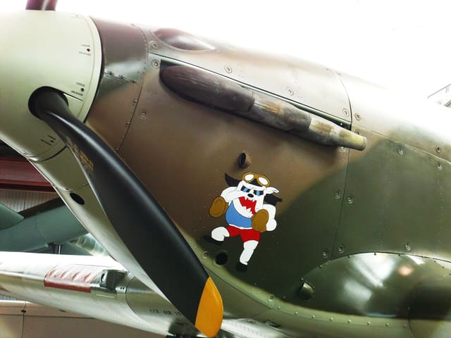  - Warbird