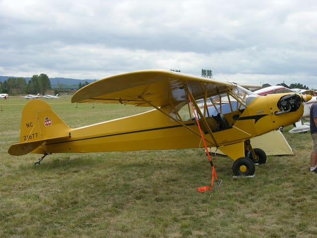 N21677 - Piper