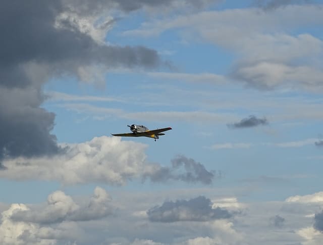N4109C - Warbird