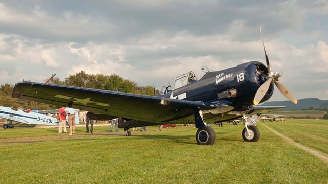 N6593D - Warbird