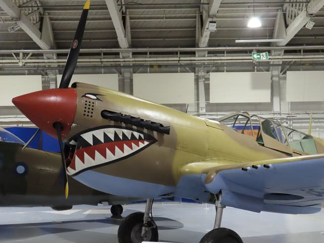  - Warbird