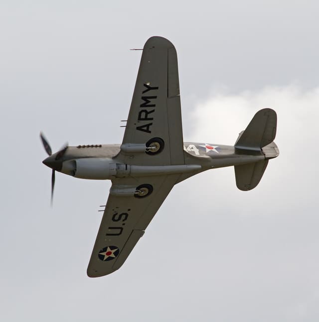  - Warbird