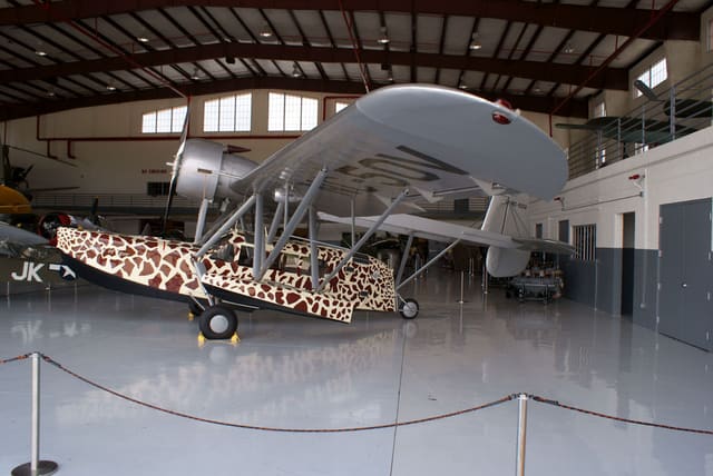  - Single-engine aircraft