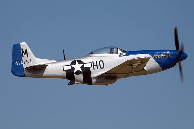  - Warbird