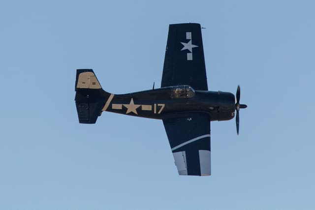  - Warbird