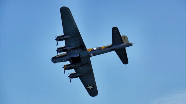  - Warbird