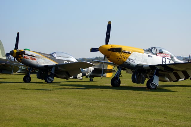  — Warbird