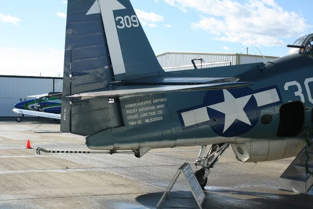 N53503 — Warbird