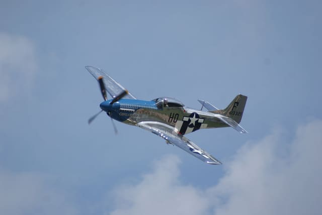  - Warbird