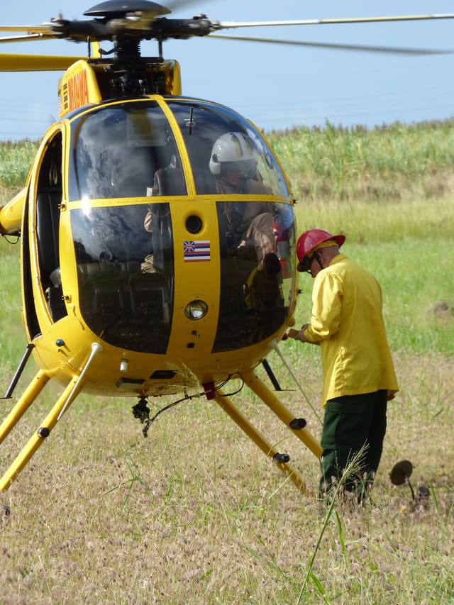 N809WA - Helicopter