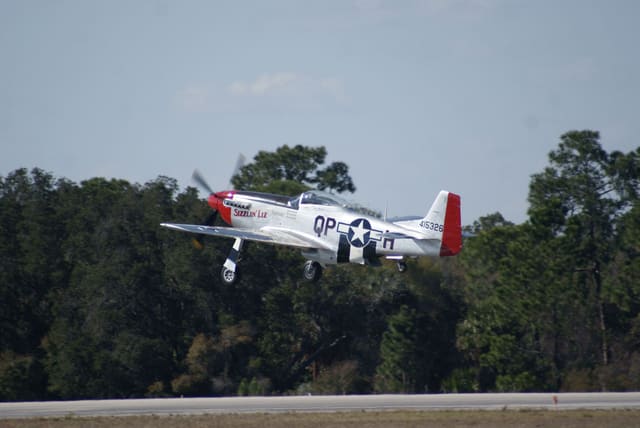  - Warbird