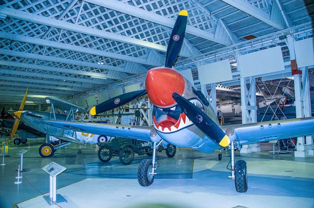  - Warbird