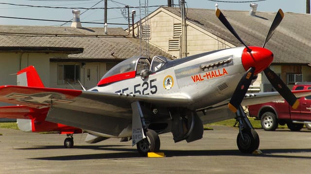  - Warbird