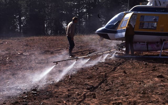 N2917W - Helicopter