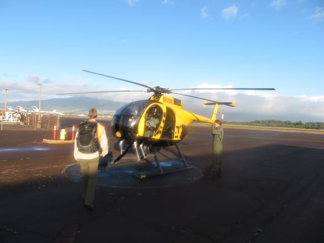N811WA - Helicopter